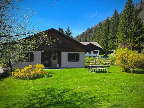 Property building, Garden, Garden view