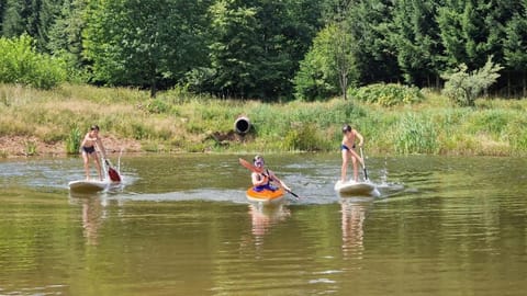 Summer, Lake view, group of guests