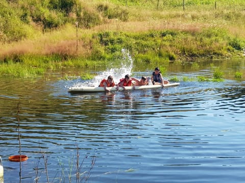 Activities, Summer, Lake view, group of guests