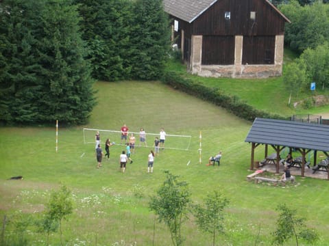 Activities, group of guests