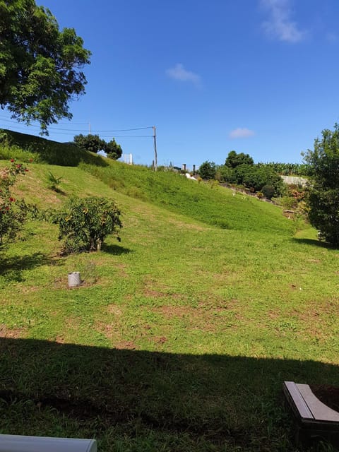 Garden, Garden view