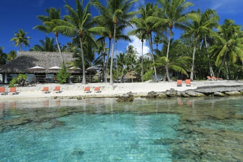 Natural landscape, Beach, Sea view