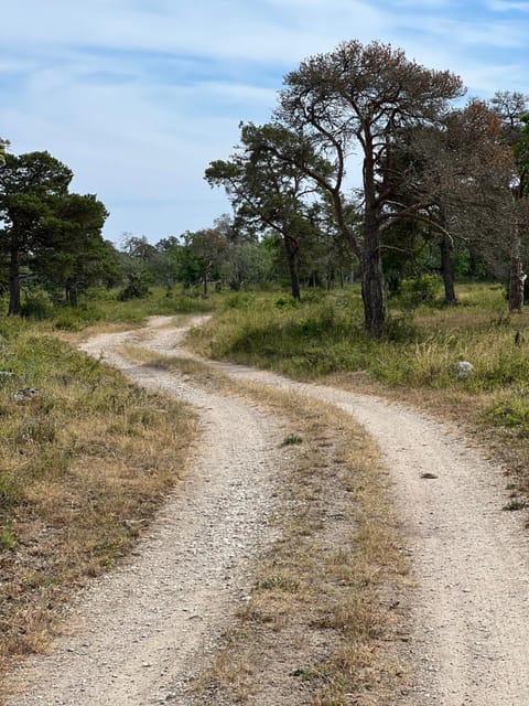 Neighbourhood, Natural landscape