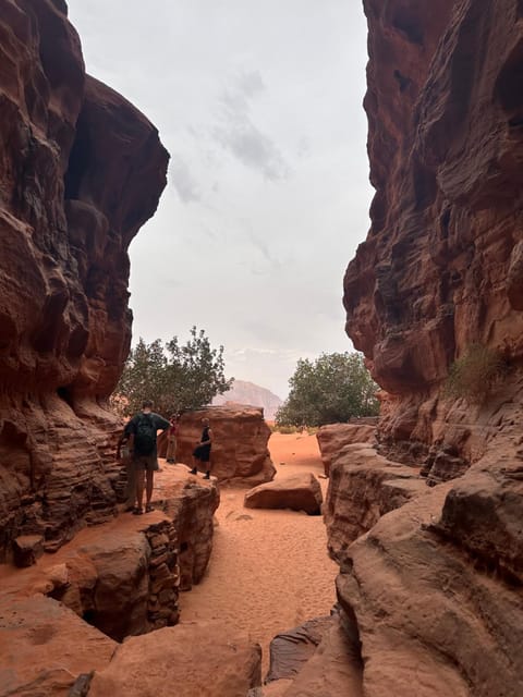 Wadirum sunset camp Campground/ 
RV Resort in South District