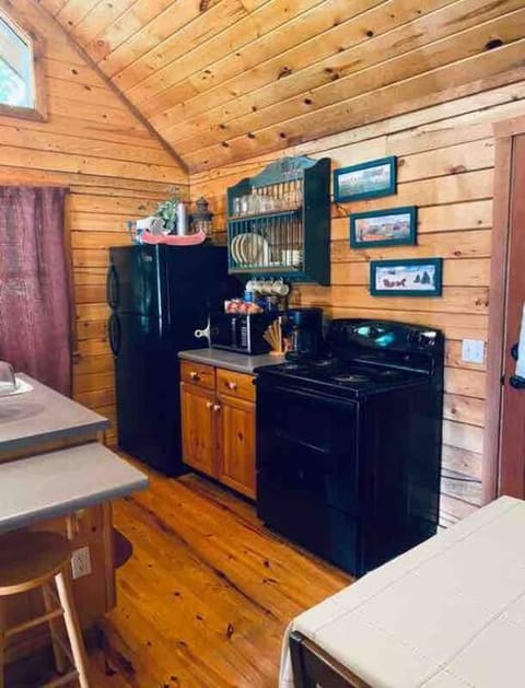 The Loft at Bear Mountain log cabins Chalet in Carroll County