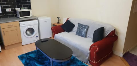 TV and multimedia, Living room, Seating area, minibar, pet friendly, washing machine