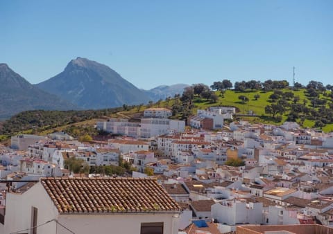 Nearby landmark, Natural landscape, Bird's eye view, City view, Family