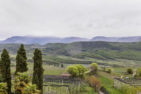 Weingut Lieselehof Apt Panorama Apartment in Kaltern an der Weinstraße