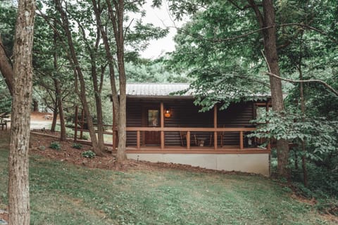 Property building, Garden view