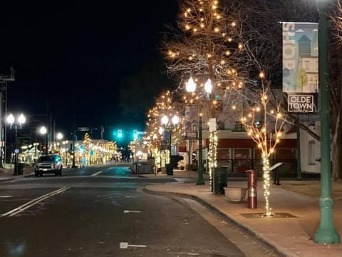 Downtown Olde Town Arvada- Across from light rail Condominio in Arvada