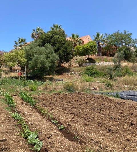 Property building, Natural landscape