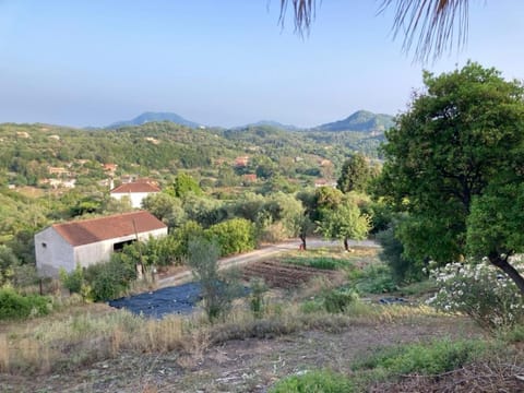 Natural landscape, Garden view