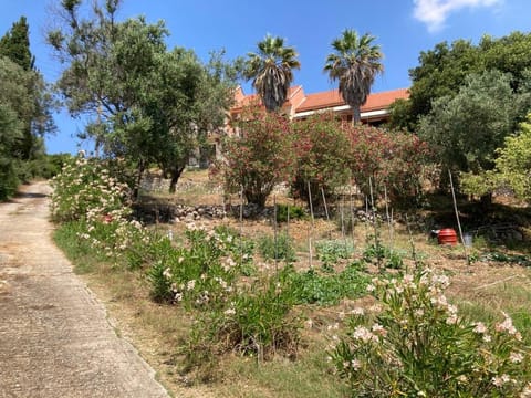 Property building, Garden view