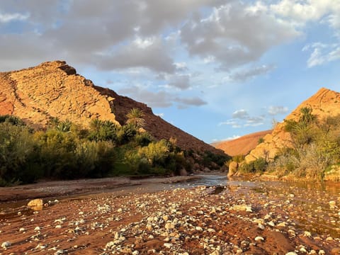 Natural landscape, River view