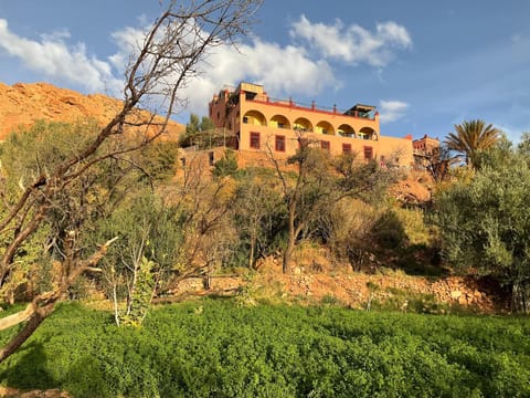 Property building, Natural landscape, Garden, Garden view