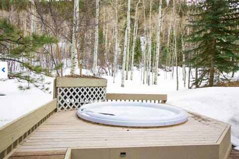 Elegant Lodge with Hot Tub Walk to Highland Lifts House in Aspen