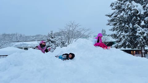 miniモンゴルキャンプ場 Campground/ 
RV Resort in Takayama