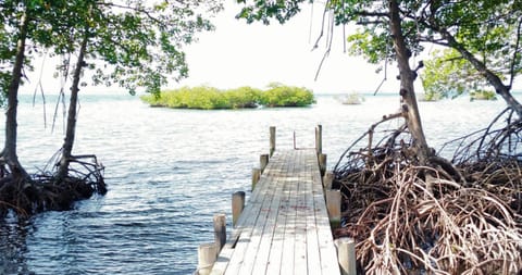 Coco Key EcoLodge - Breakfast - Sea Bed and Breakfast in Bocas del Toro Province