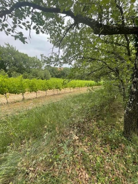 Maison au cœur du Luberon House in Apt