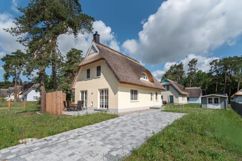 Ferienhaus Libelle Haus in Zirchow
