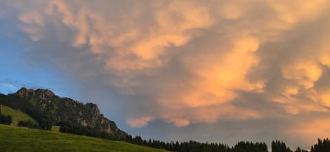 Erd´s Hoimatle Bed and Breakfast in Pfronten