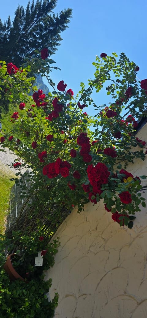 Erd´s Hoimatle Bed and Breakfast in Pfronten