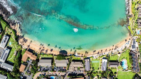 Bird's eye view, Beach, Sea view