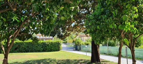 Garden, Garden view