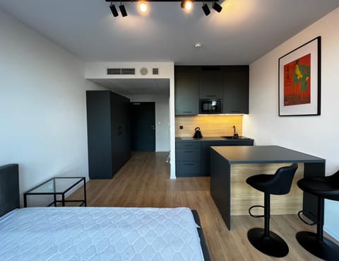 Bed, Kitchen or kitchenette, Photo of the whole room, hair dresser, minibar