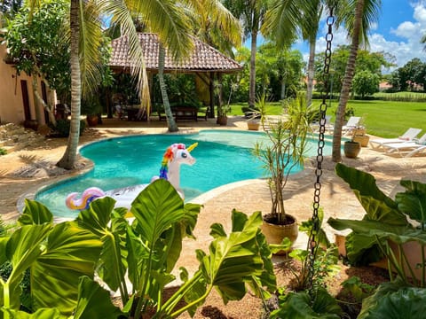 Garden, Garden view, Pool view, Swimming pool, sunbed