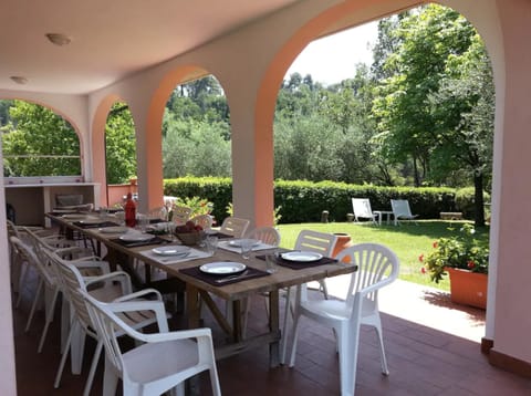 Patio, Garden, Garden view