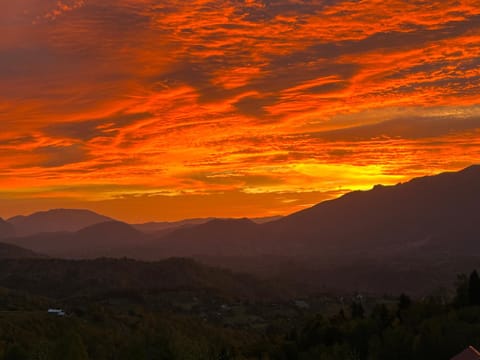 The Mountain View - no children Vacation rental in Brașov County