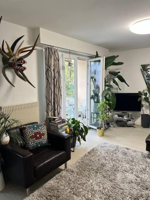 1 bedroom apartment - business trip Condo in Nyon