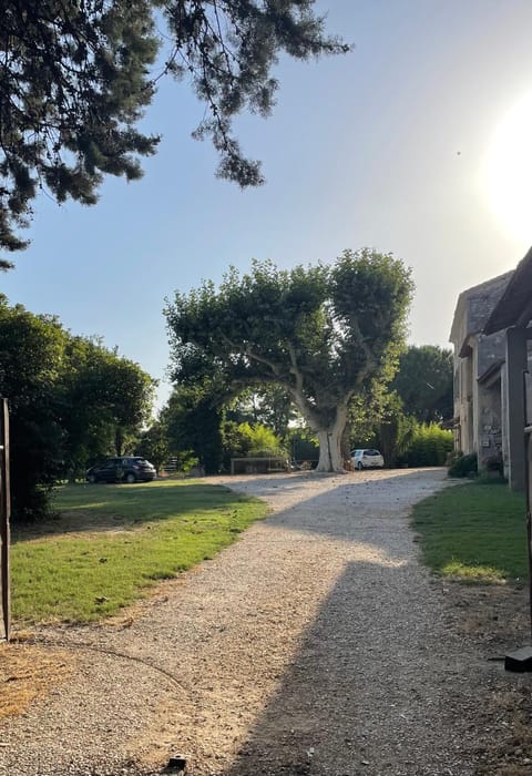 Mas provençal Alpilles Camargue House in Tarascon