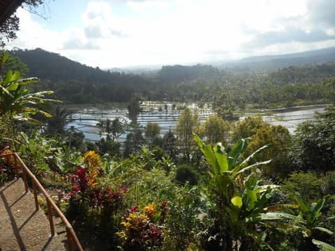 Villa Dukuh Villa in Selat