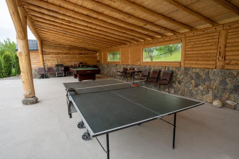 Table tennis, Seating area