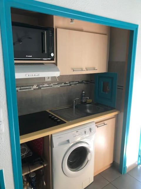 Kitchen or kitchenette, minibar, pet friendly, stove, washing machine