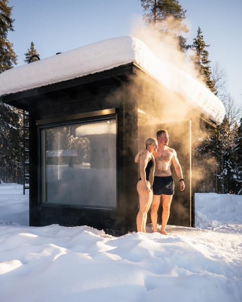 Day, Winter, Sauna