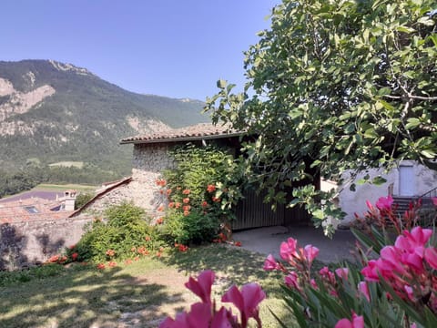 Natural landscape, Garden view, Mountain view