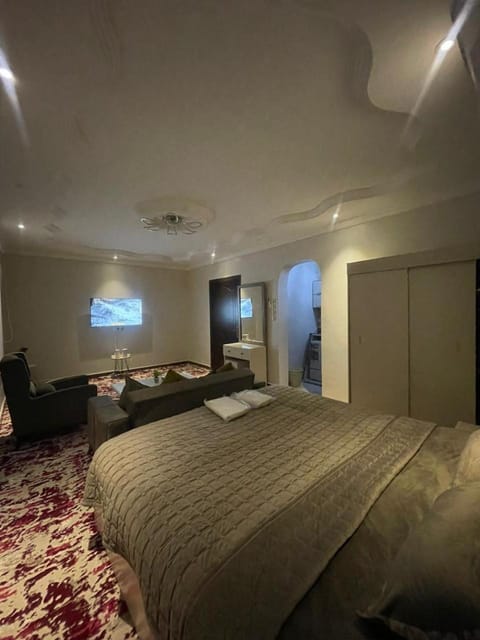 شقق المدينة Apartment in Medina