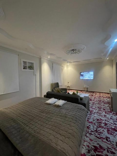 شقق المدينة Apartment in Medina