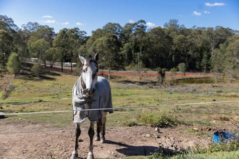 The 2BR Farm Escape idyllic scenery peaceful tour Maison in Upper Coomera