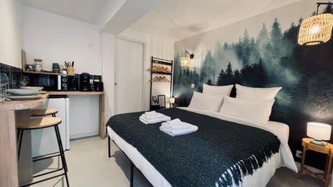 Le Chalet de la Plage Apartment in Sévrier