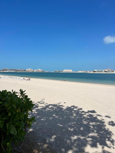 Day, Natural landscape, Beach, Sea view, sunbed