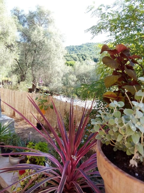 Garden, Garden view