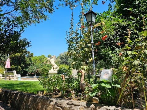 Garden, Garden, Swimming pool