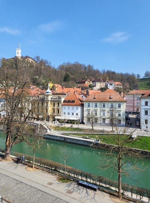 Nearby landmark, City view, Landmark view, River view