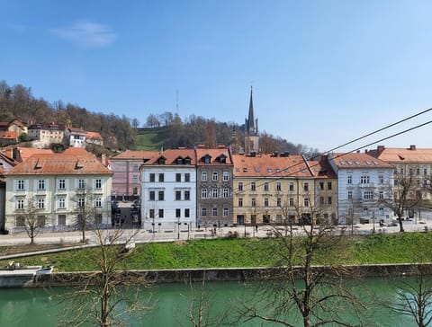 City view, Landmark view, River view