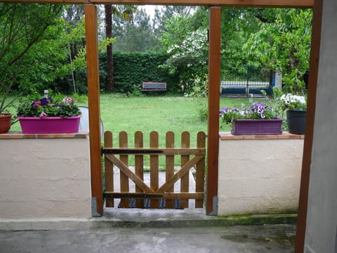 Garden, Balcony/Terrace