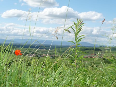 Natural landscape, Hiking